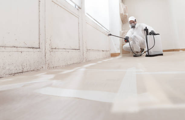 24/7 Emergency Mold Remediation experts in Red Bank, NJ