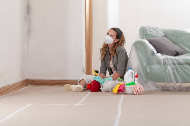 Reliable Mold Remediation contractor in Red Bank, NJ by Mold Remediation HQ